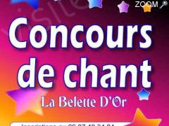 picture of Concours de chant la belette d or