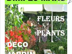picture of marche aux fleurs plants deco jardin